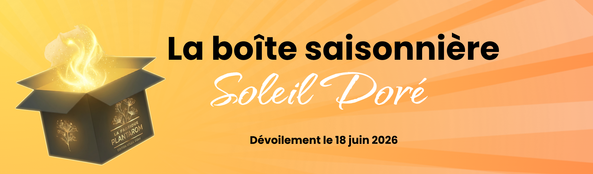 Boîte saisonnière Soleil doré
