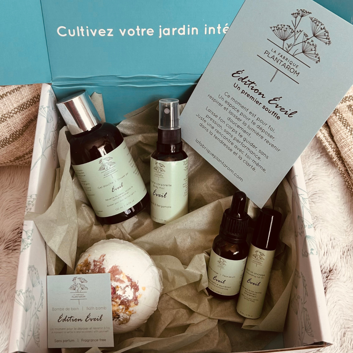 Création sans titre - 2026-02-09T141329.906