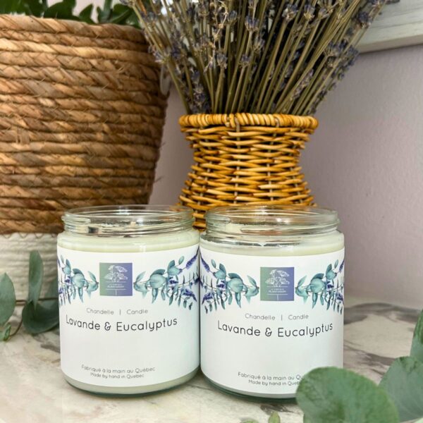 Chandelle Lavande & Eucalyptus